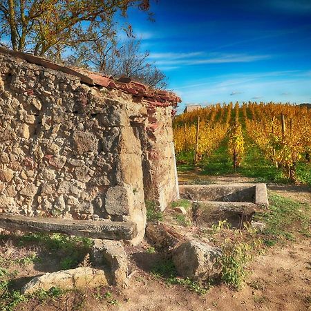 Condrieu Comme A La Maison Exterior foto